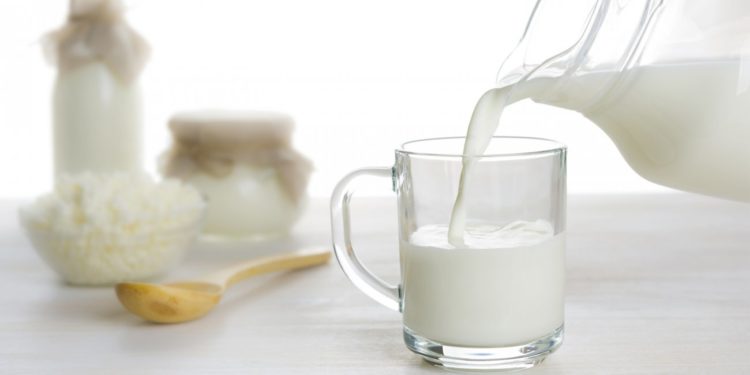 Lượng chất béo trong sữa bò khá nhiều nên hạn chế