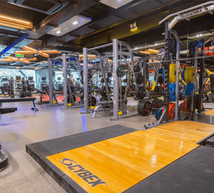 Phòng Tập HTC Fitness – Phòng Tập Gym TPHCM
