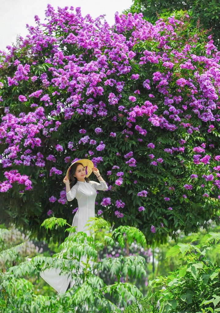 Tạo dáng chụp ảnh áo dài ngoài trời làm sao đẹp nhất