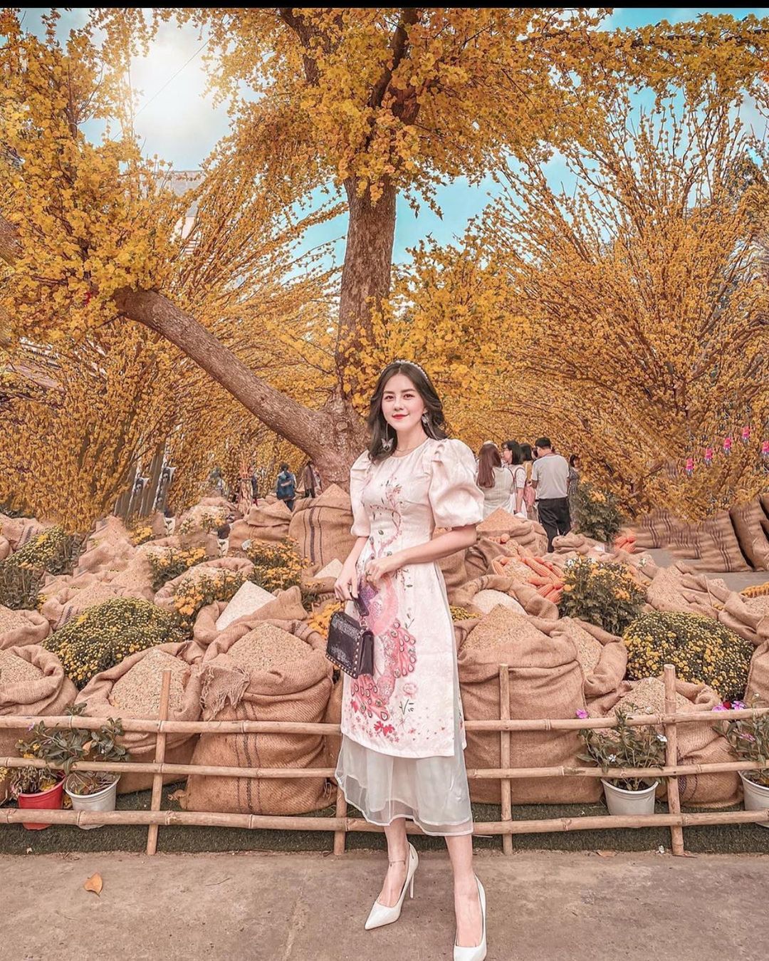 Chụp ảnh Tết đẹp năm 2024-2025