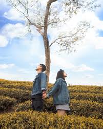 Địa điểm chụp ảnh couple Tết tại Đà Lạt lãng mạn nhất