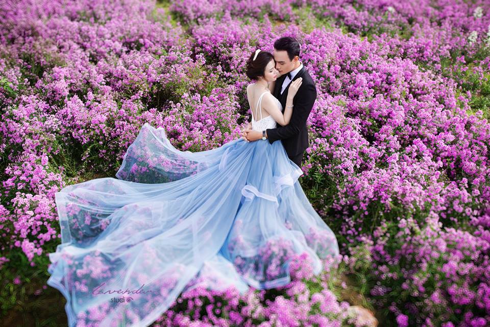 10 background chụp hình cưới tự làm siêu đơn giản và đẹp 10 background chụp hình cưới tự làm siêu đơn giản và đẹp