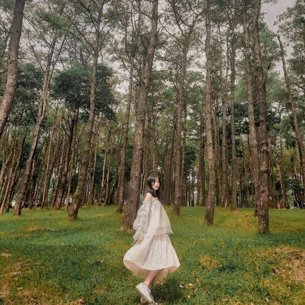 Chụp ảnh nghệ thuật phong cảnh Chụp ảnh nghệ thuật phong cảnh