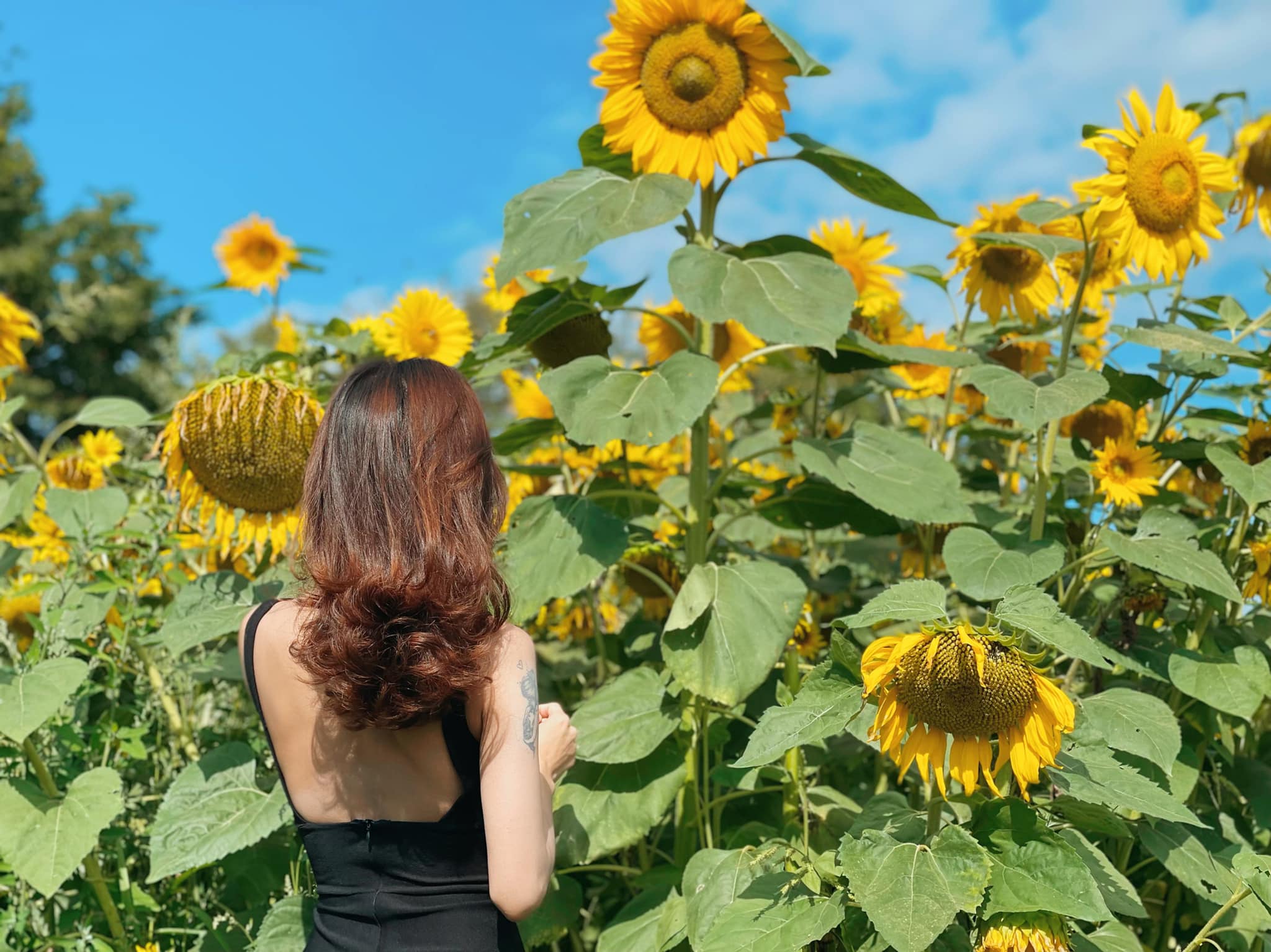 Khi nào nên sử dụng dịch vụ chỉnh sửa ảnh online? Khi nào nên sử dụng dịch vụ chỉnh sửa ảnh online?