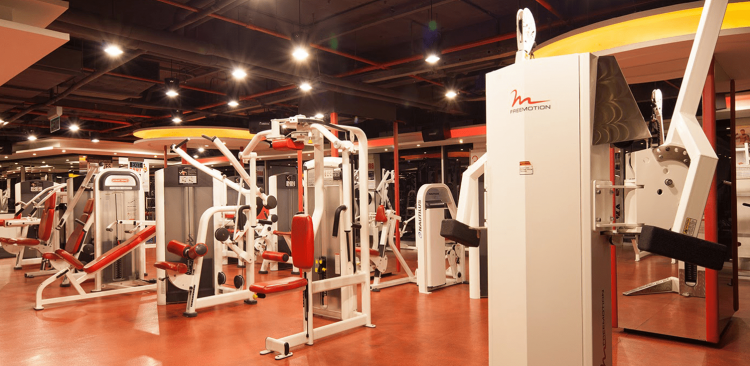Trung Tâm Thể Dục Thể Hình BodyFit – Phòng Tập Gym Ở TPHCM Hiệu Quả 