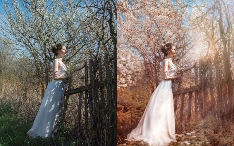 Chỉnh sửa ảnh online tại TP.HCM: Giải pháp hoàn hảo cho nhu cầu thị trường hiện nay