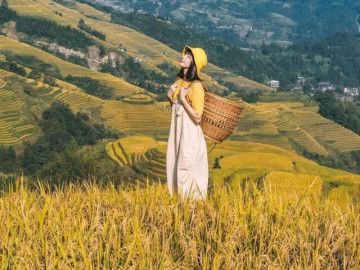 Khi nào nên sử dụng dịch vụ chỉnh sửa ảnh online?